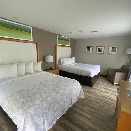 Red Roof Inn Plus & Suites טאמפה מראה חיצוני תמונה