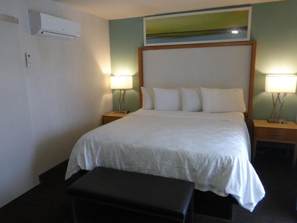 Red Roof Inn Plus & Suites טאמפה מראה חיצוני תמונה