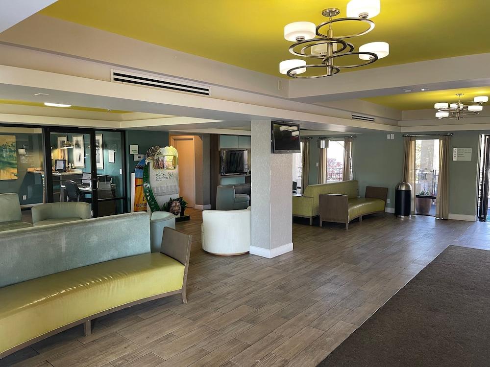 Red Roof Inn Plus & Suites טאמפה מראה חיצוני תמונה