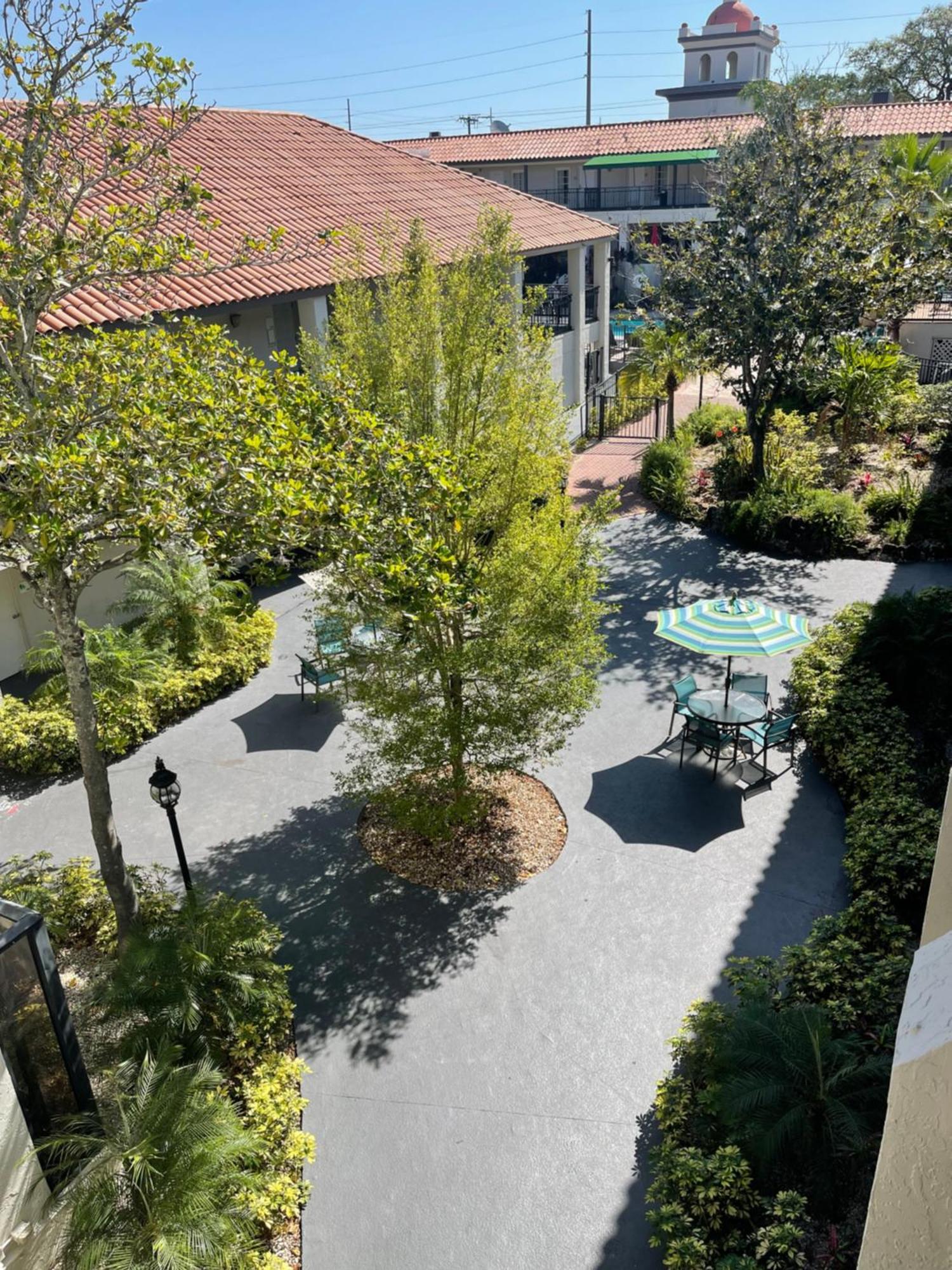 Red Roof Inn Plus & Suites טאמפה מראה חיצוני תמונה